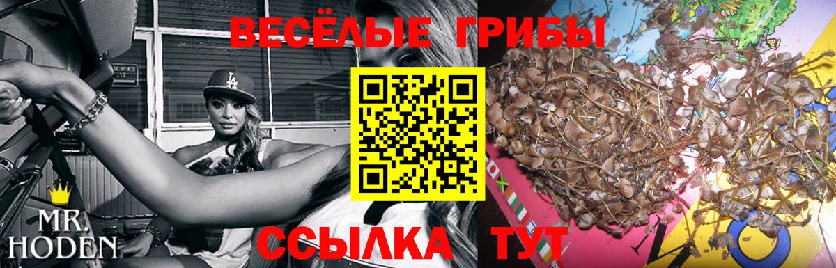 Псилоцибиновые грибы прущие грибы Светлоград