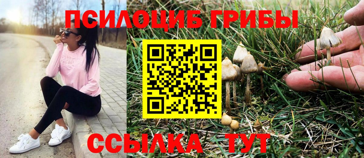 Светлоград  дарнет шоп  Вход с VPN  Псилоцибиновые грибы мицелий 